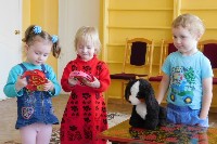 �����������