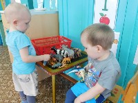 �����������